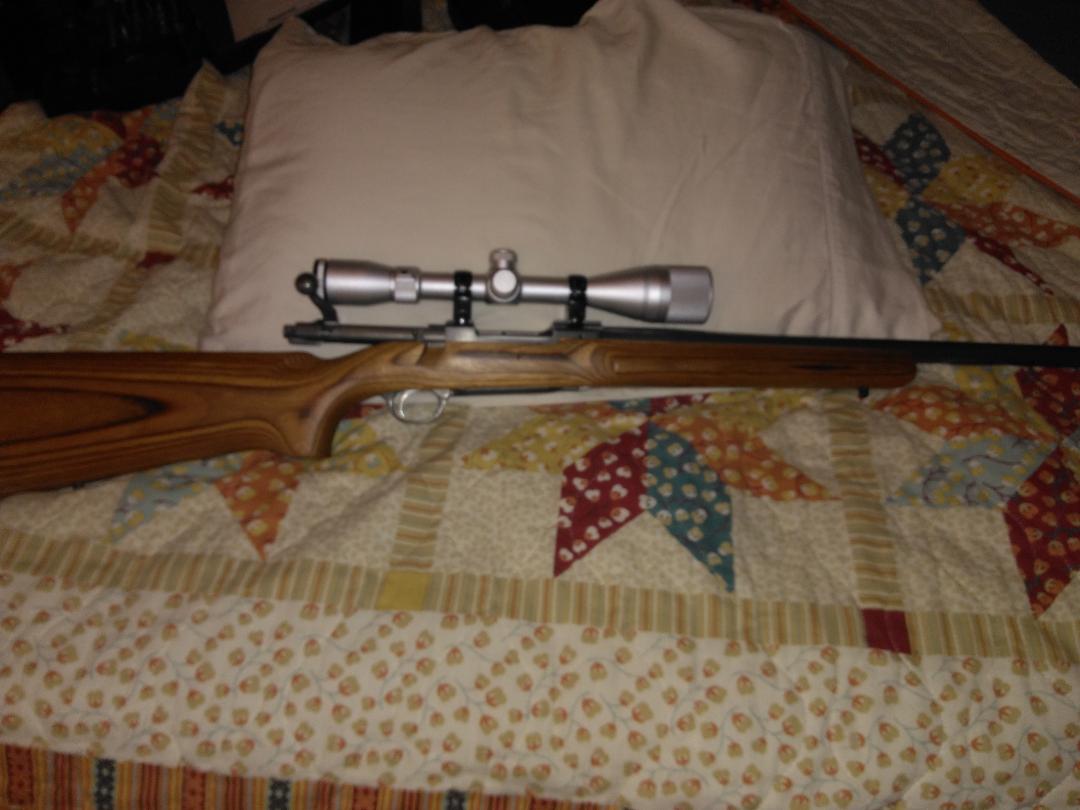 204 Ruger 1.jpg